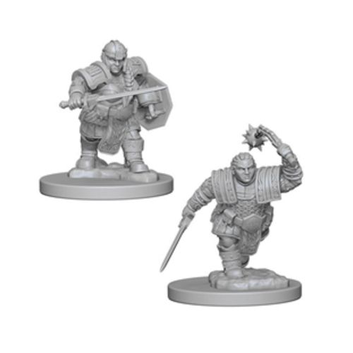 Nolzurs Marvelous Miniatures - Dwarf Fighter